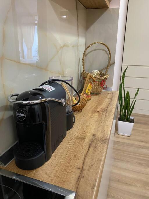 Mimosa'S Apartment With Lovely Balcony تيرانا المظهر الخارجي الصورة