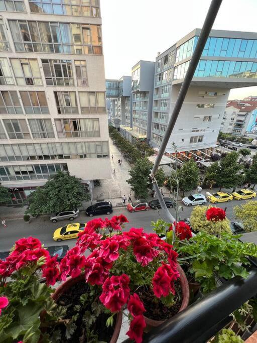 Mimosa'S Apartment With Lovely Balcony تيرانا المظهر الخارجي الصورة